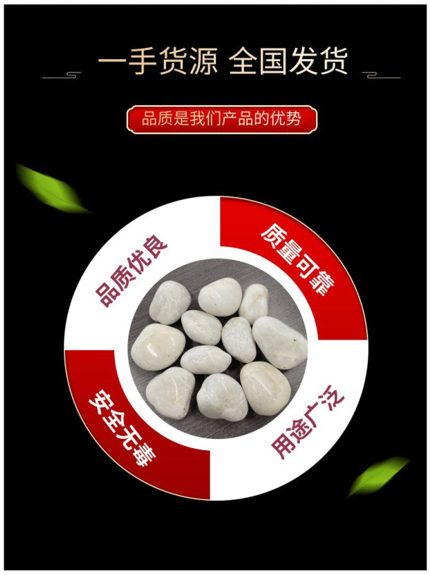 微信图片_20250618093342