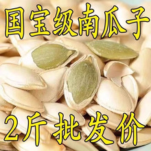 新货南瓜子原味500g罐装散盐焗坚果炒货熟南瓜籽休闲零食产批发