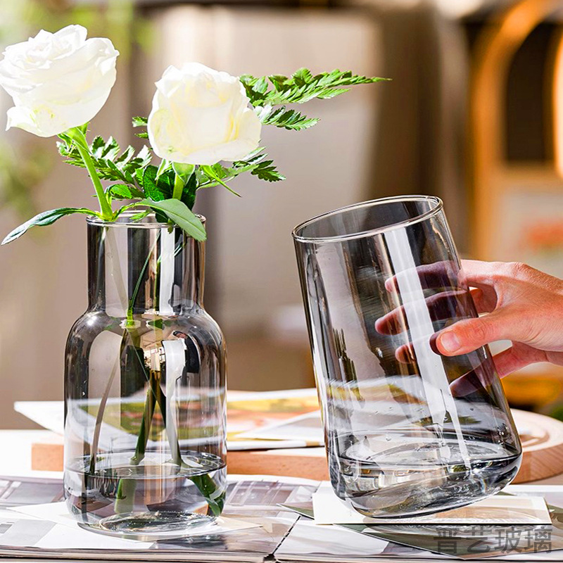 Modern Minimalist Transparent Glass Vase with a Sense of Elegance, Household Hydroponic Living Room Desktop High-Quality Decor Ins Style
