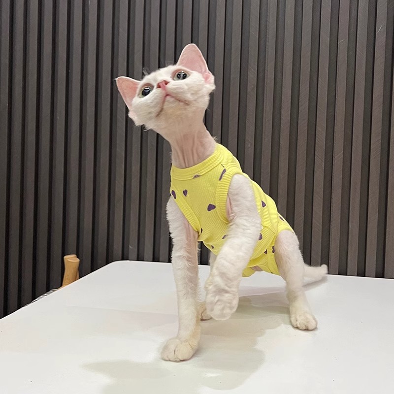 Zomerse huisdierkleding voor Sphynx-katten (haarloos) Devon Stretch Anti-valkleding voor viervoeters, dunne, warme kleding met airconditioning_voghion.com