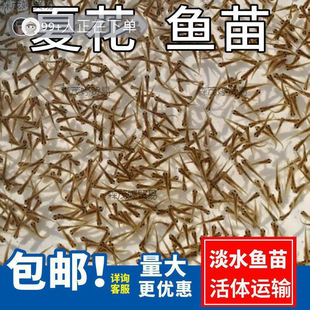 �����~�����~ˮ���~���l�a�~���^���~�N���������~���~���䉾����