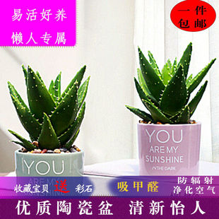 �J�C���Զ���ֲ����˻��k���ҾGֲ�մɻ���Ƀ����՚�