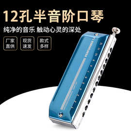 EASTTOP 专业半音阶口琴12孔口琴 EAP-12 教学学生老师 高档礼品