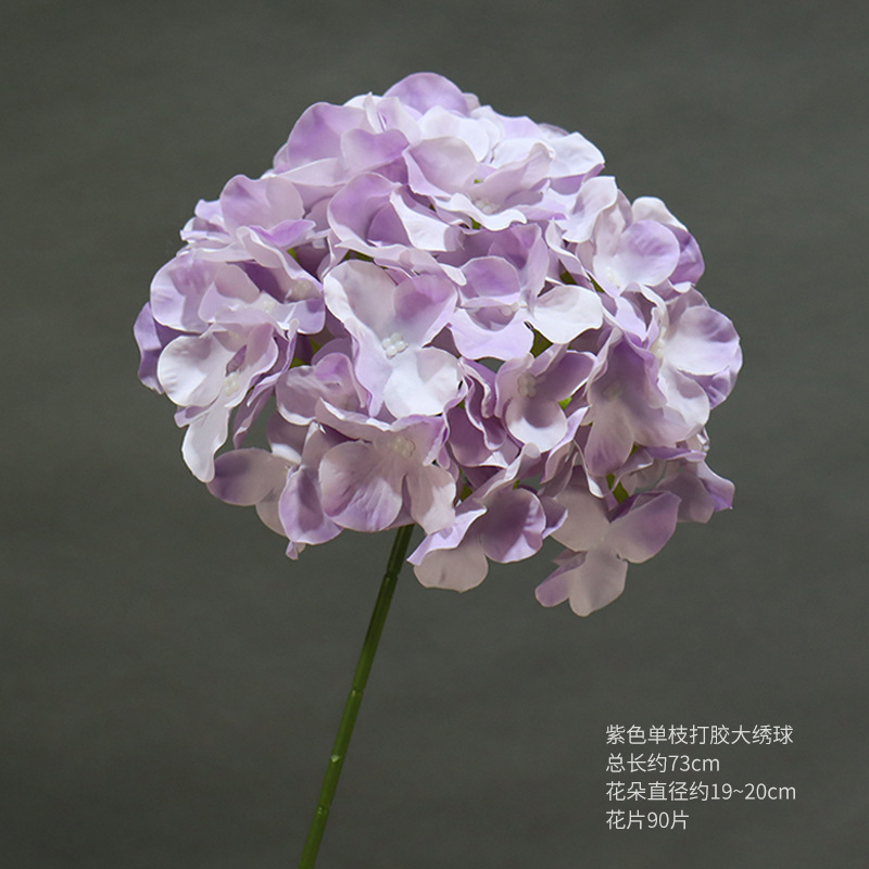 Hortensia grande de una sola rama púrpura