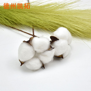 �����޻�����ɻ�ľ�޻�����Ҿ��bS��ֱ�N������Ȼ�����޻�