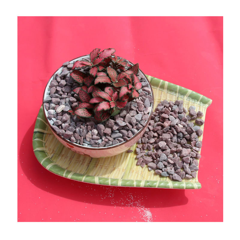 ɫʯʯɫ껨ʯ쾰辰װΰʯӷͥԺ