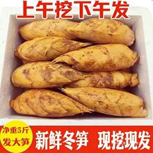 �r���߲ˬF�lë�S��S������ȥ�ϸ��S���r�S�ඬ�S�F���r�S�㽭