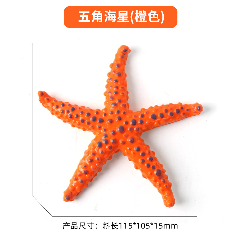 Étoile de mer pentagonal [orange]