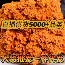 �������؛ܛŴ�ڸи�؛��Ʒ�|�I�B��Ϯ�����؛