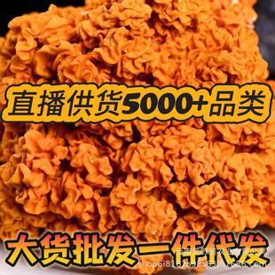 �������؛ܛŴ�ڸи�؛��Ʒ�|�I�B��Ϯ�����؛