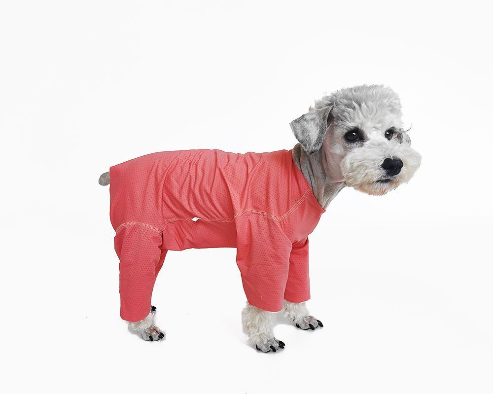 Svalkande hundklänning för bichon solskydd och insektskydd_voghion.com
