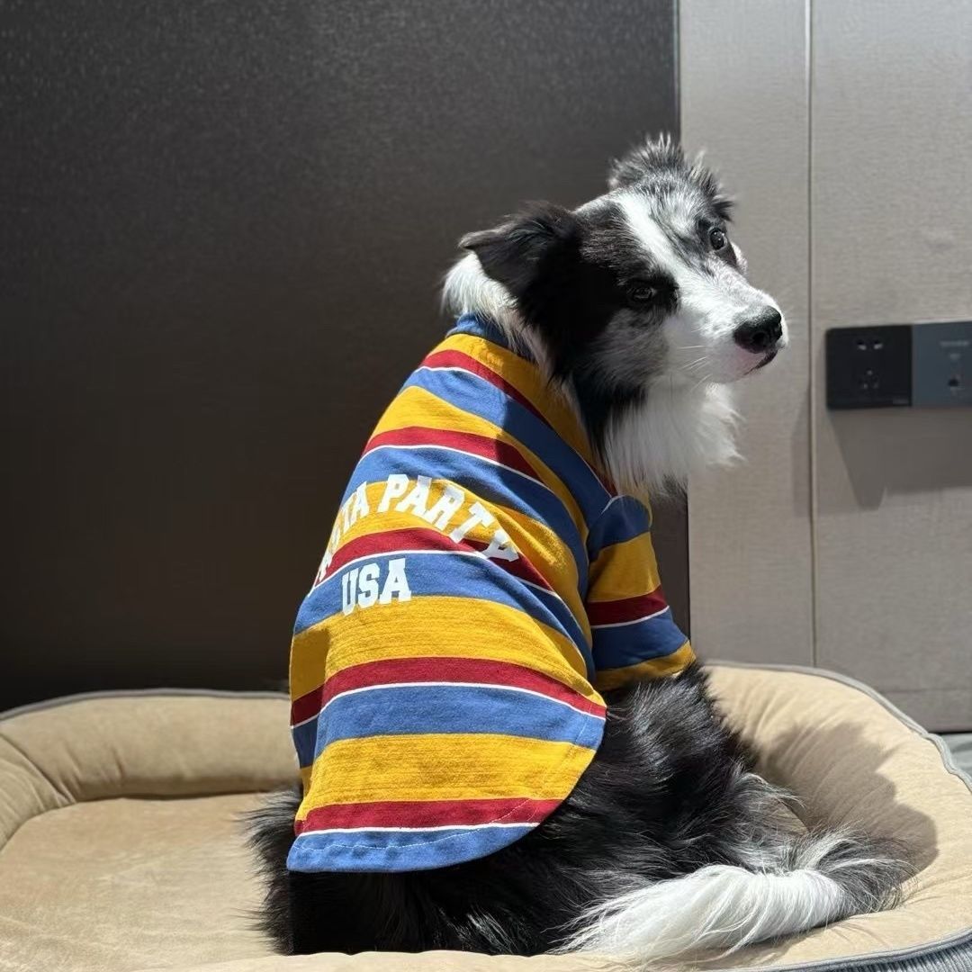 大狗衣服夏季运动风三色条纹衫中大型犬帅气拉布拉多金毛英文印花