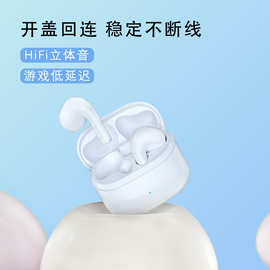 亚马逊爆品无线5.3蓝牙耳机私模防水超长续航