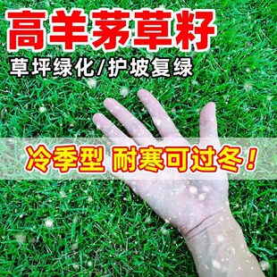 ����é�����ͺ���ƺ�N���ļ����o�¾G����������������`̤ͥԺ