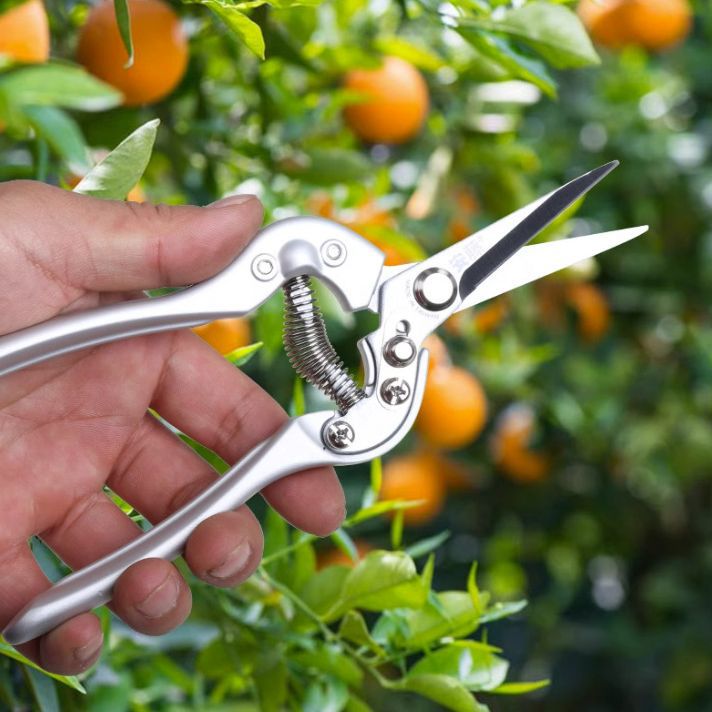 台湾制造安藤 AT-8S38稀果剪 采摘剪 园艺剪 剪刀 园林手工具