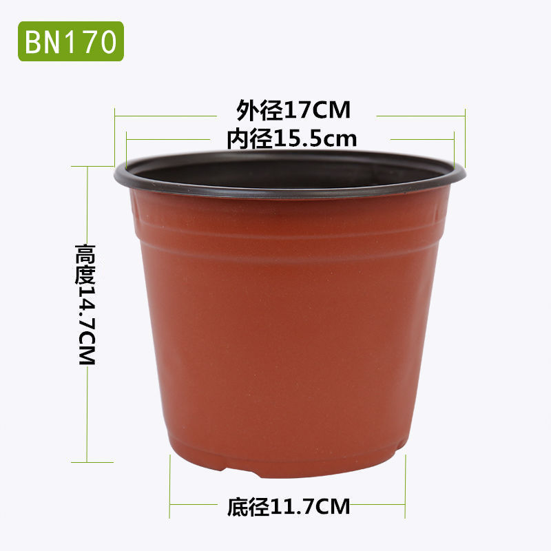 224ae77c-415d-495d-8d66-eff1164a3d65.jpe