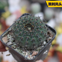 �ڴ��P�^���������򏊴��_�����B�׶��������ƶ�������