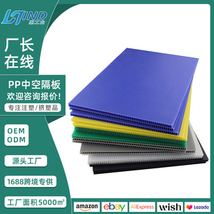 Colored Pp Plastic Hollow Board in Stock, Moisture-Proof and Anti-Static Packaging Vacuum Board, Corrugated Board, Honeycomb Wantong Board
