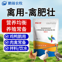 工厂现货直发禽肥壮禽类养殖鸡鸭鹅养殖场家用通用使用产品