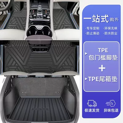 Threshold TPE Car Foot Pad – Ayaqaltılar (Kovriklər) - 25-models-21-models-song-plusdmi-tpe-bag-thresholdsingle-layer-floor-mat-trunk-mat