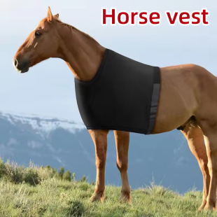 �羳�R�o���o���R���ķ�Ħ�����������o�R�o�غ�ɫ�R�������R����