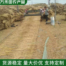 ���ݺ��Ӵ���Ӻ�ݺ���·���������݉|���������ط�������ů�ݴ�