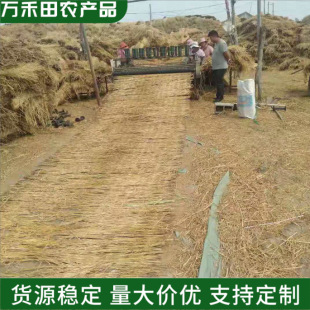 ���ݺ��Ӵ���Ӻ�ݺ���·���������݉|���������ط�������ů�ݴ�