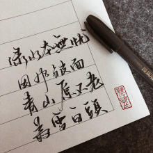 日本斑马牌ZEBRA秀丽笔WF1学生毛笔软头练字笔字帖书法笔请柬笔