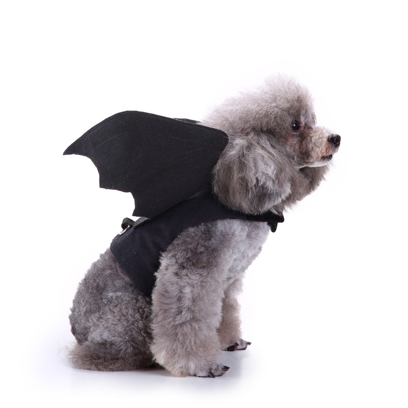 テディ服、ビションフリーゼ用の面白いコウモリコスチューム、猫に乗る服、ペット犬用ハロウィン・クリスマス服|undefined