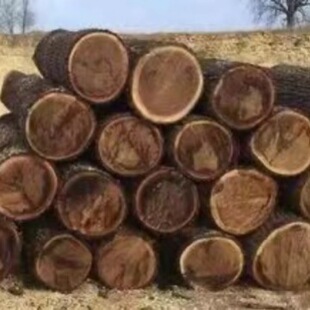 �����ں���ԭľľ�� �ӹ��ں��Ҍ�ľ��� ���N�ں���ľԭľľ��