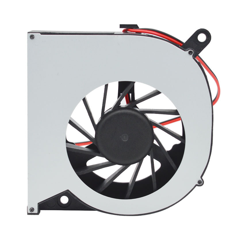 8017
