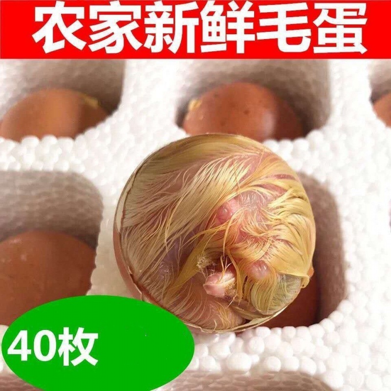 生的毛鸡蛋批发农家新鲜蛋鸡胚蛋喜蛋旺活珠子凤凰蛋包邮一件批发