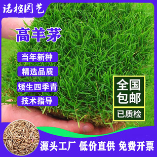 ����é�����ͺ���ƺ�N���ļ����o�¾G����������������`̤ͥԺ��