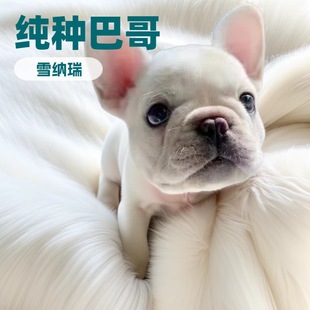 ���N������Ȯ���w��ţ��ëС��Ȯ����Ȯ���B������ţȮ��ţ����Ȯ