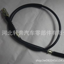 �m���  �ߠ�����܇ 1981 - 1999 ����Ƅ���| | 1011403