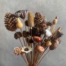 ����ɻ��ɹ��b[����@�L������ޔ[�O�廨�����Ĕz����