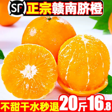 �V�����Q�ָ�10���������rˮ������һ��ɳ������ɰ�Ǹ��ٴ�����]