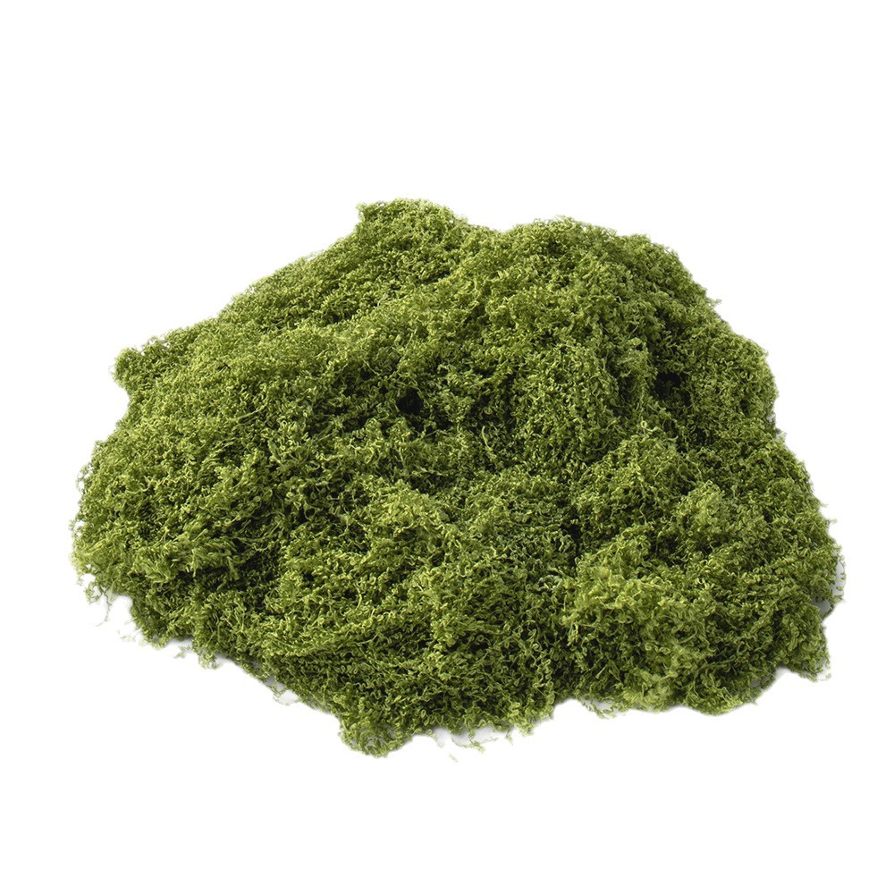 Cross-border simulated moss artificial moss wholesale DIY sand tray plant landscape fake lawn plant flower wall decoration 5