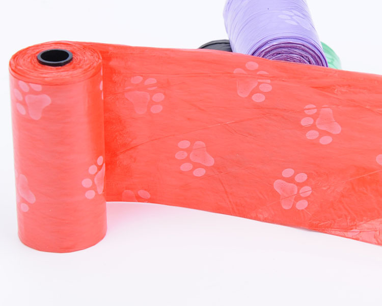 3388907445_973676538