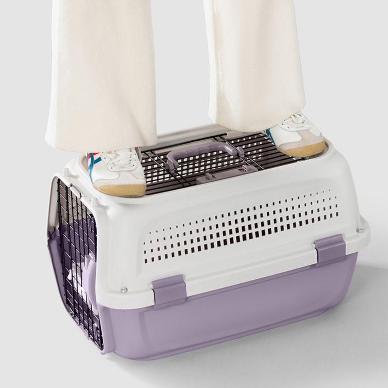 Cat Airbox Pet Consignment to Motor Cat Cat Cat Cat Cat Bags Dog Dog Transporting Box Products