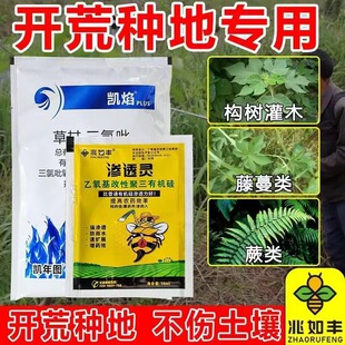 �����S�_�ķN�س����䚢��ľ����ާ����s�݌��ò����������݄�