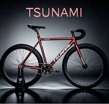 TSUNAMI������ SNM100 ���[���w��܇ ���[�X�Ͻ������w����܇