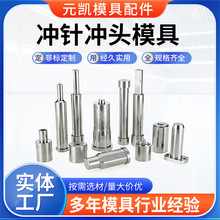 厂家定制冲针冲头引导抽牙三级各种非标制作定做模具定制化精密