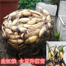 ʳ��ź�Nź��ɏź�N����ɻ�����ˮ�B��Ͱˮ������߮aɏź��Nֲ