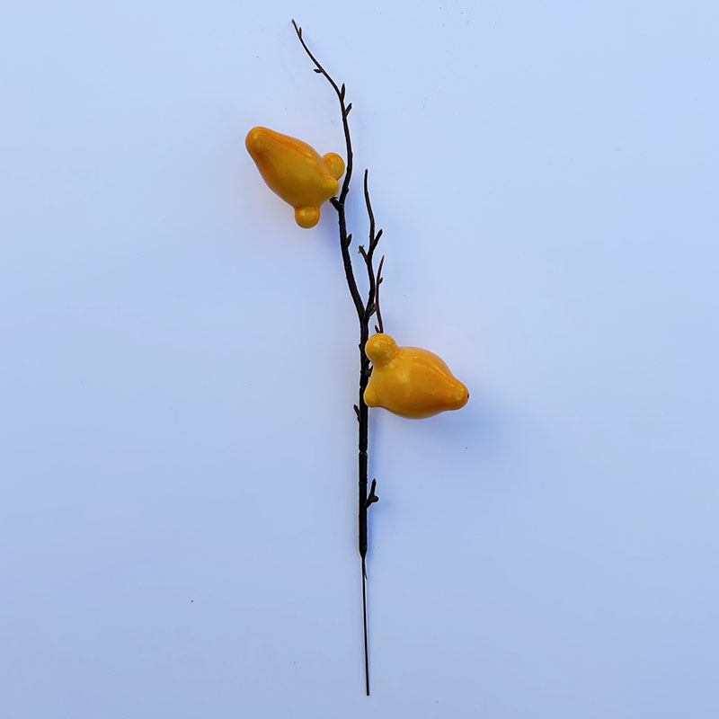 New year living room decoration simulation fruit high-end photography props fruit plant decoration red fruit simulation Persimmon_voghion.com