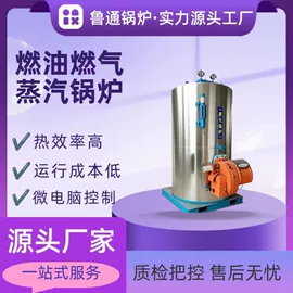 燃气锅炉;蒸汽发生器;燃生物质锅炉