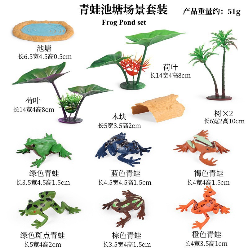 Small frog model, set