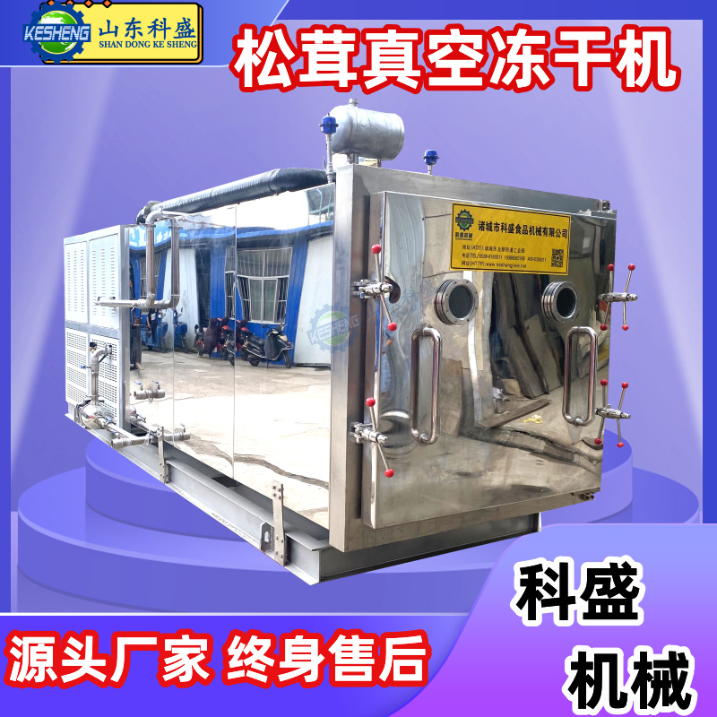 松茸牛肝菌真空冻干机 猫草棒真空冷冻干燥机 生骨肉冻干设备