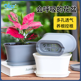 Olinze Cross-border D Plastic Flower Pot with Holes for Gardening Plastic Flower Pot with Holes for Bottom Small Flower Pot for Gardening