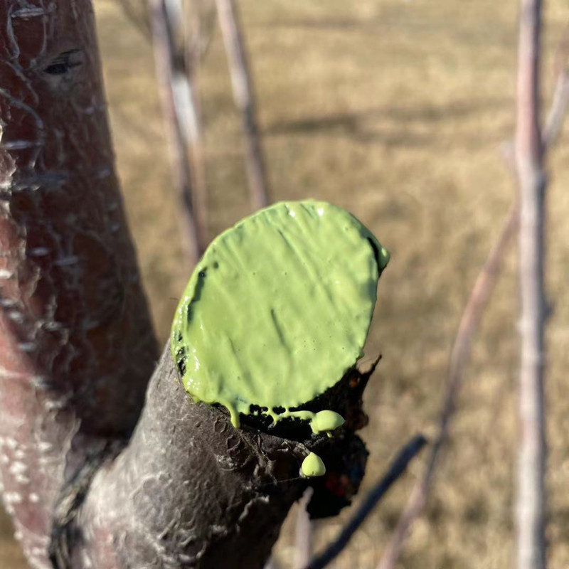 微信图片_20210201173201_副本